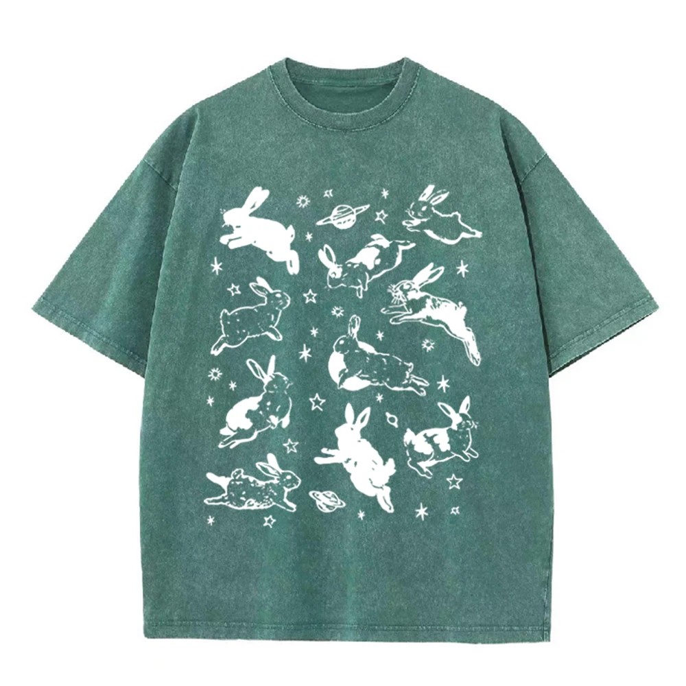 2026 Vintage Space Rabbit Plan - Acid Wash Vintage Graphic T Shirt 评论和价格